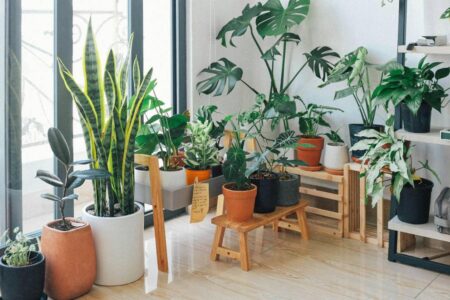 bioliphic home design